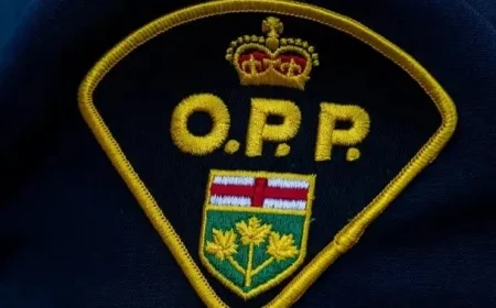 Pilot Dies in Ontario Plane Collision: OPP Reports