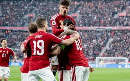 World Cup Playoff Stakes: Hungary Faces Ireland