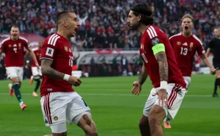 Euro Qualifier: Hungary vs. Ireland