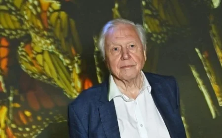 David Attenborough’s Marriage Ends After 47 Years Due to Tragic Call