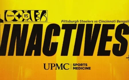 Steelers Announce Inactive Players for Week 11 Against Bengals