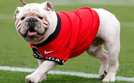 Dawgs Ranked 4th, Sooners Climb to 8th in AP Poll