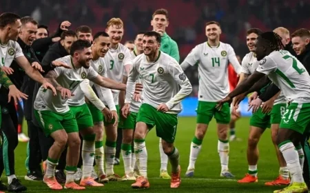 Ireland Secures Dramatic Comeback, Reaches World Cup Playoffs, Eliminates Hungary