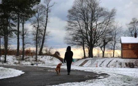 Severe Winter Storm Warning: 18 Inches of Snow Expected