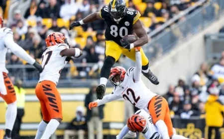 Twitter Criticizes Zac Taylor, Bengals Following Loss to Steelers