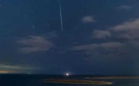 Observe the Leonid Meteor Shower Peak: Timing and Viewing Guide