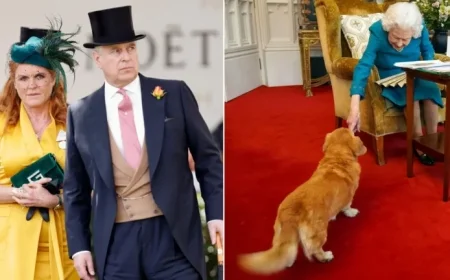 King Charles Plans to Reclaim Queen Elizabeth’s Corgis from Andrew