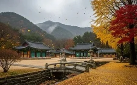 Chilly, Overcast Early Winter Weather Forecast for Gyeryongsan Tomorrow