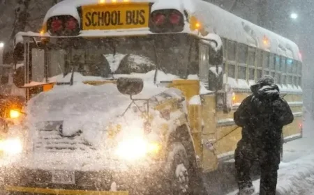 Ontario School Bus Cancellations: How Decisions Are Made by School Boards