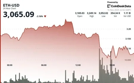 Ether Falls Below $3,100; Investors View ETH as Riskier Than BTC