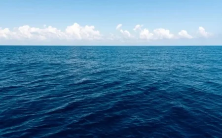 First Demonstration Unfolds