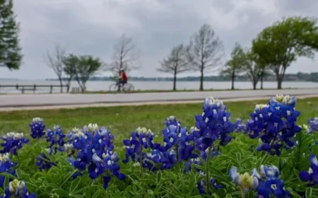 Sunny Sunday Skies Transition to Rainy Week: What to Expect