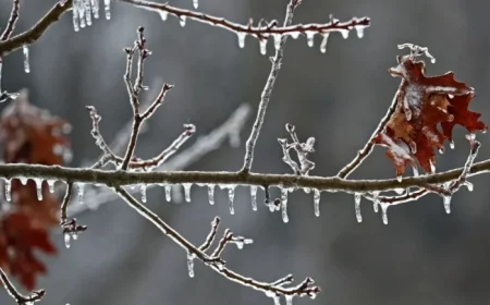 Wintry Mix to Create Slippery, Slushy Roads in Wisconsin