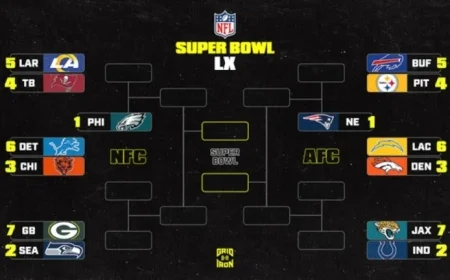 NFL Playoffs 2025-26: Updated Week 11 Standings for AFC and NFC