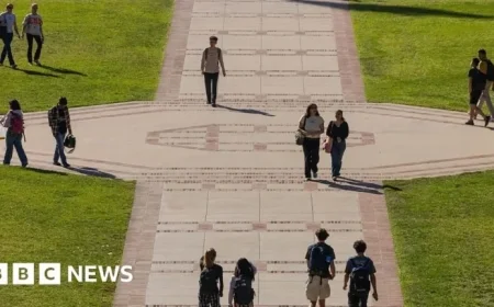 International Student Enrollment Declines 17% at US Universities