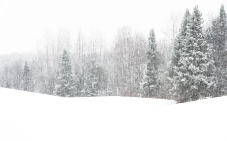 Winter Storm to Blanket Northeast with 16 Inches of Snow