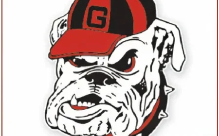 Daily Dawg Update: November 17, 2025