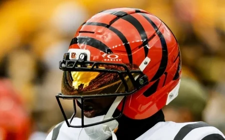 Jordy Nelson to Review Ja’Marr Chase’s Suspension Appeal