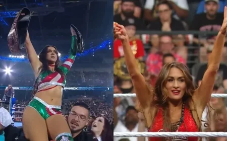 28-Year-Old WWE Star Seeks Total Divas Reboot with Green, Bella, More