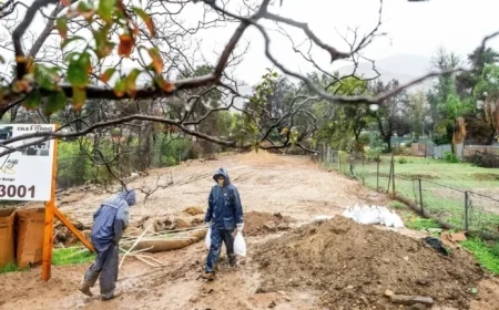 FEMA Acting Chief David Richardson Steps Down After 6 Months