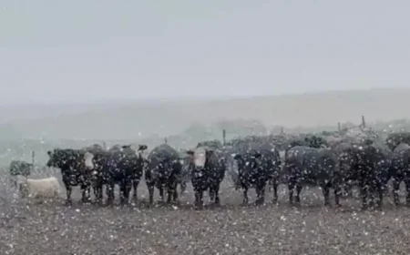 Midwest Braces for Intense First Snowfall of the Season