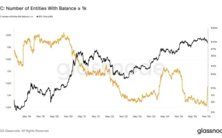 Bitcoin Price Analysis: Whales Boost Market Activity