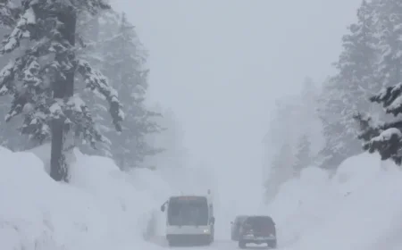 Winter Storm Alert: Expect 20 Inches of Snowfall