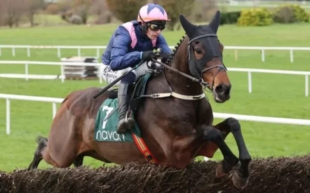 Supreme Scorer Kopek Des Bordes Shines in Electric Chasing Debut