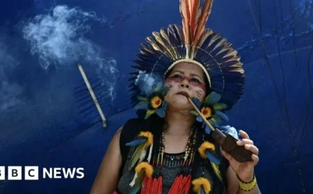 Brazil Establishes Indigenous Territories Amid COP30 Protests