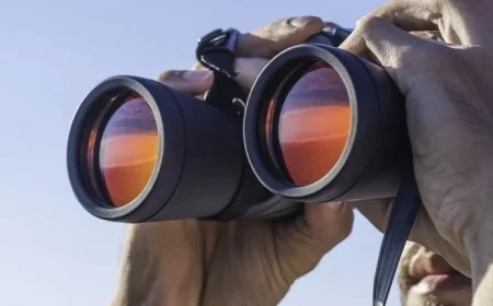 Nvidia Earnings Awaited Amid Dow Retreat; Google Shares Remain Resilient