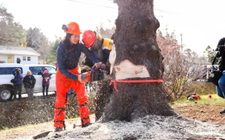 Boston Mayor Wu’s Nova Scotia Family Trip Costs Taxpayers $5K