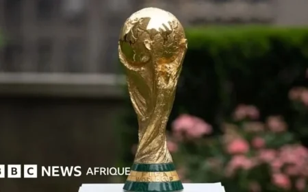 2026 World Cup: Which Countries Have Qualified?