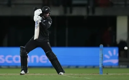 Hope Powers West Indies Solo Effort to 247