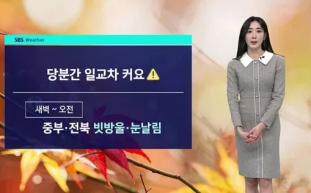 Seoul Weather: Temperature Swings with Morning 2°C, Afternoon 14°C