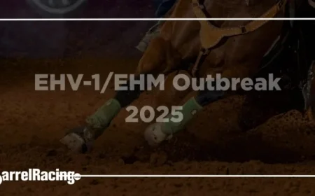 EHV-1/EHM Outbreak: Essential Updates for Horse Owners After Texas Events