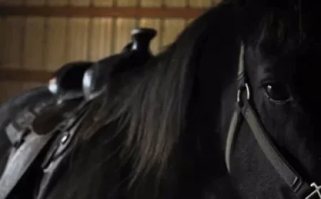 Dayton Raiola, Brother of Huskers QB, Withdraws Nebraska Commitment