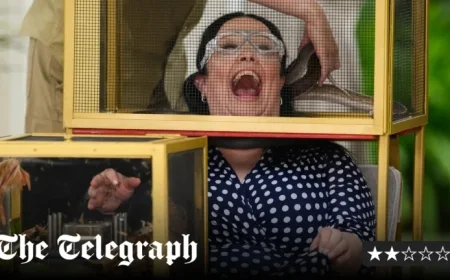 I’m a Celebrity Returns, But Fails to Impress Audiences