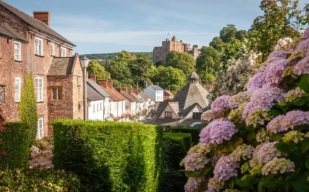 Sunny Morning Transitions to Partly Cloudy Weather Tomorrow