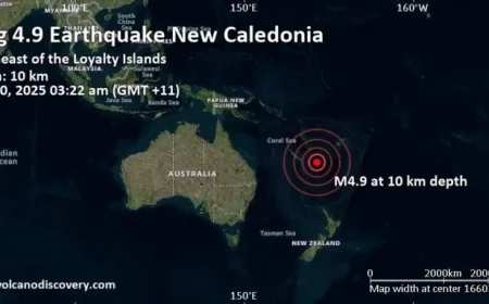4.9 Magnitude Earthquake Strikes South Pacific Near Loyalty Islands