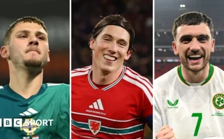 World Cup Play-Off Draw: Northern Ireland, Wales, Ireland Discover Opponents