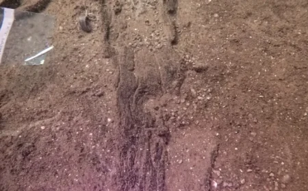 Wisconsin Archaeologists Uncover 16 Ancient Canoes in Prehistoric Site