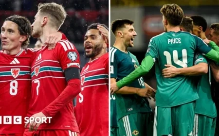 Wales Face Bosnia, Northern Ireland Travels to Italy in 2026 Play-offs