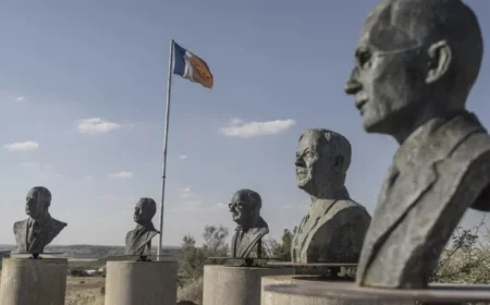 Trump Boycotts G20 Summit Amid Afrikaner Dispute: Who Are They?