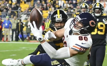 Bears vs. Steelers: Week 12 Predictions