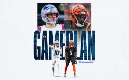 Week 12 Winning Strategies Against the Bengals