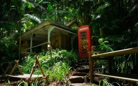 Discover “I’m A Celebrity” Filming Location: How to Visit the Campsite?