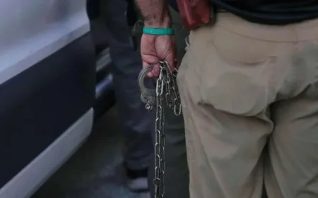 Appeals Court Halts Release of Immigrants Detained in Illinois Crackdown