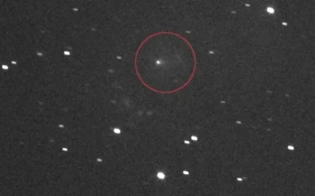 Comet Captivates Scientists and Thrills Social Media