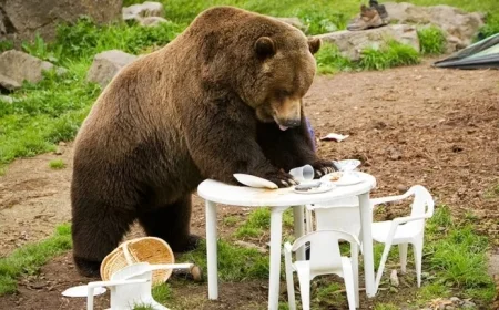 Stock Market Plummets: Dow Jones Reverses, Nvidia Stalls, Bitcoin Dives