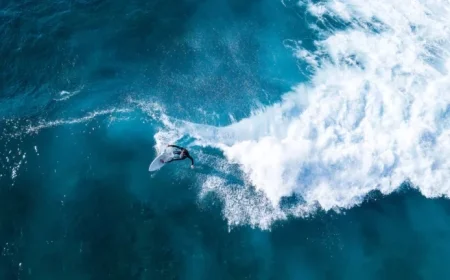 Deadly Shark Attacks in Reunion: Surfing Gradually Resumes Post-Crisis